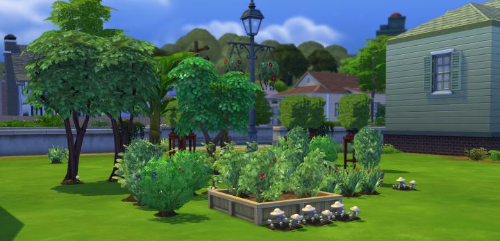 How to plant seeds in sims 4 xbox one
